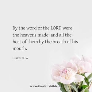 Meet your Posher, Rhonda